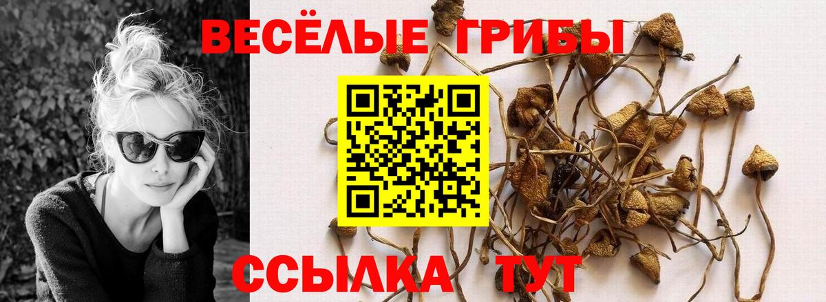 Нововоронеж  Псилоцибиновые грибы прущие грибы  Вход с VPN 