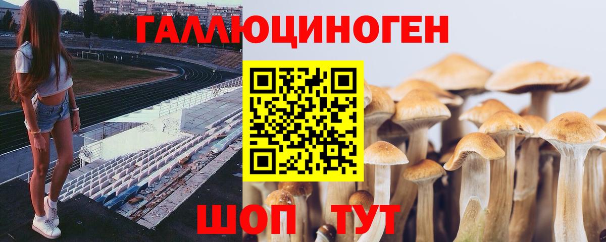 Галлюциногенные грибы мухоморы Нововоронеж